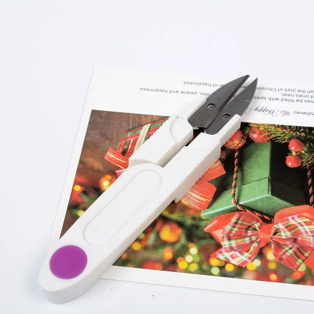 PZ1506045361__DSC5694