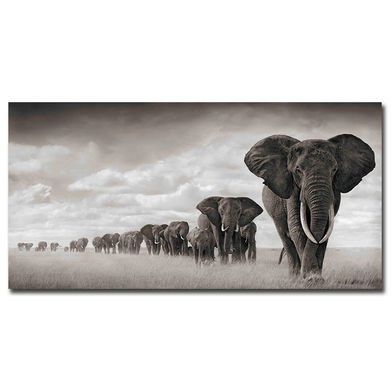 Dropship Modern Canvas Painting large posters Wall Art Pictures Elephants Animal Decorative Posters And Prints for Living Room