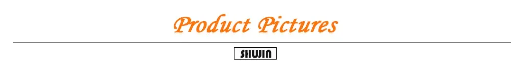 SHUJIN 2