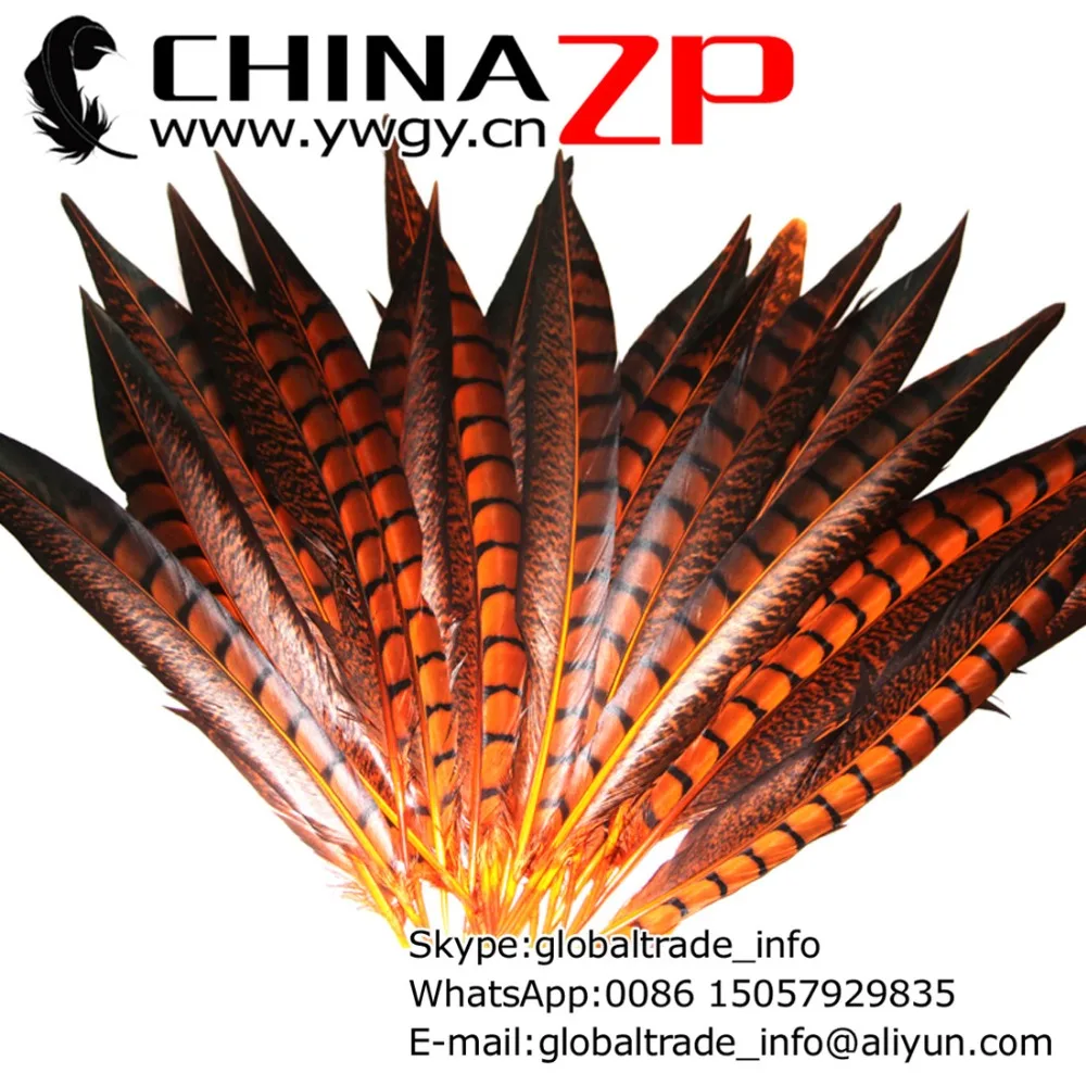 

Manufacturer in CHINAZP Factory wholesale 100pcs/lot 30-35CM(12~14inch) Dyed Orange Lady Amherst Pheasant Feathers