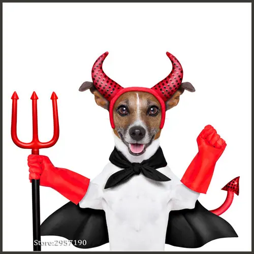 Funny Dog Wall Art Prints Pet Puppy Hipster Animals Canvas Wall