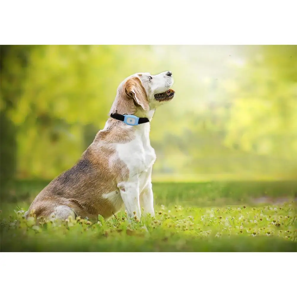 

None Mini Track GPS Locator for Pet Travel Outdoor Safety