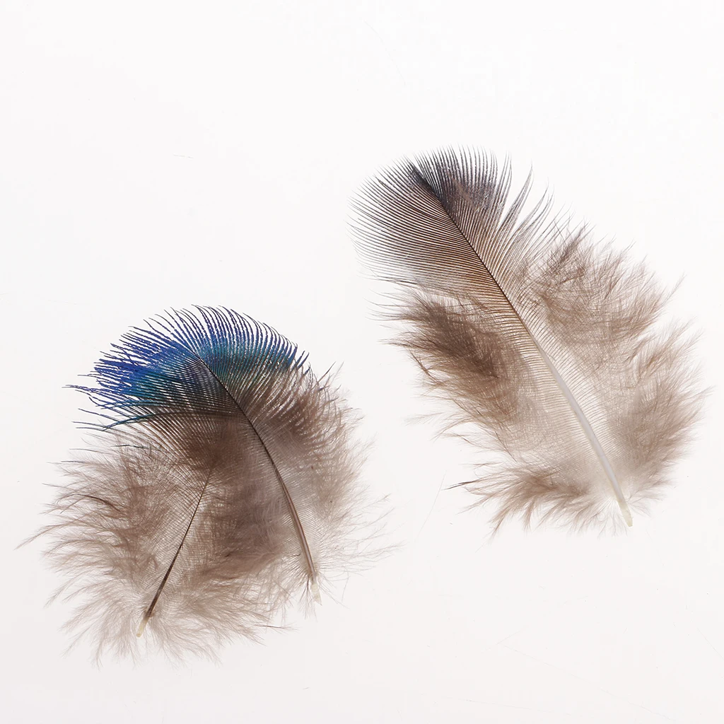 fityle 50pcs Peacock Feather Trim Embellishment for DIY Home Party Decoration Millinery Costume Clothing Decoration 5x3cm