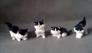 Mini Chat Mignon Noir Et Blanc Environ 10cm Un Lot 4 Pieces Cadeau De Decoration Pour La Maison T219 Aliexpress Mini Chat Mignon Noir Et Blanc Environ 10cm Un Lot 4 Pieces Cadeau De Decoration Pour La Maison T219 Aliexpress