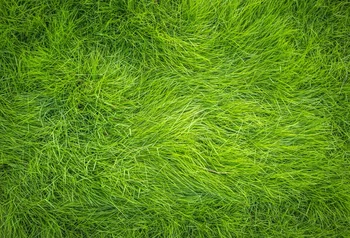 

Laeacco Photo Backdrops Green Grass Hay Stack Doll Pet Child Newborn Portrait Photographic Backgrounds Photocall Photo Studio