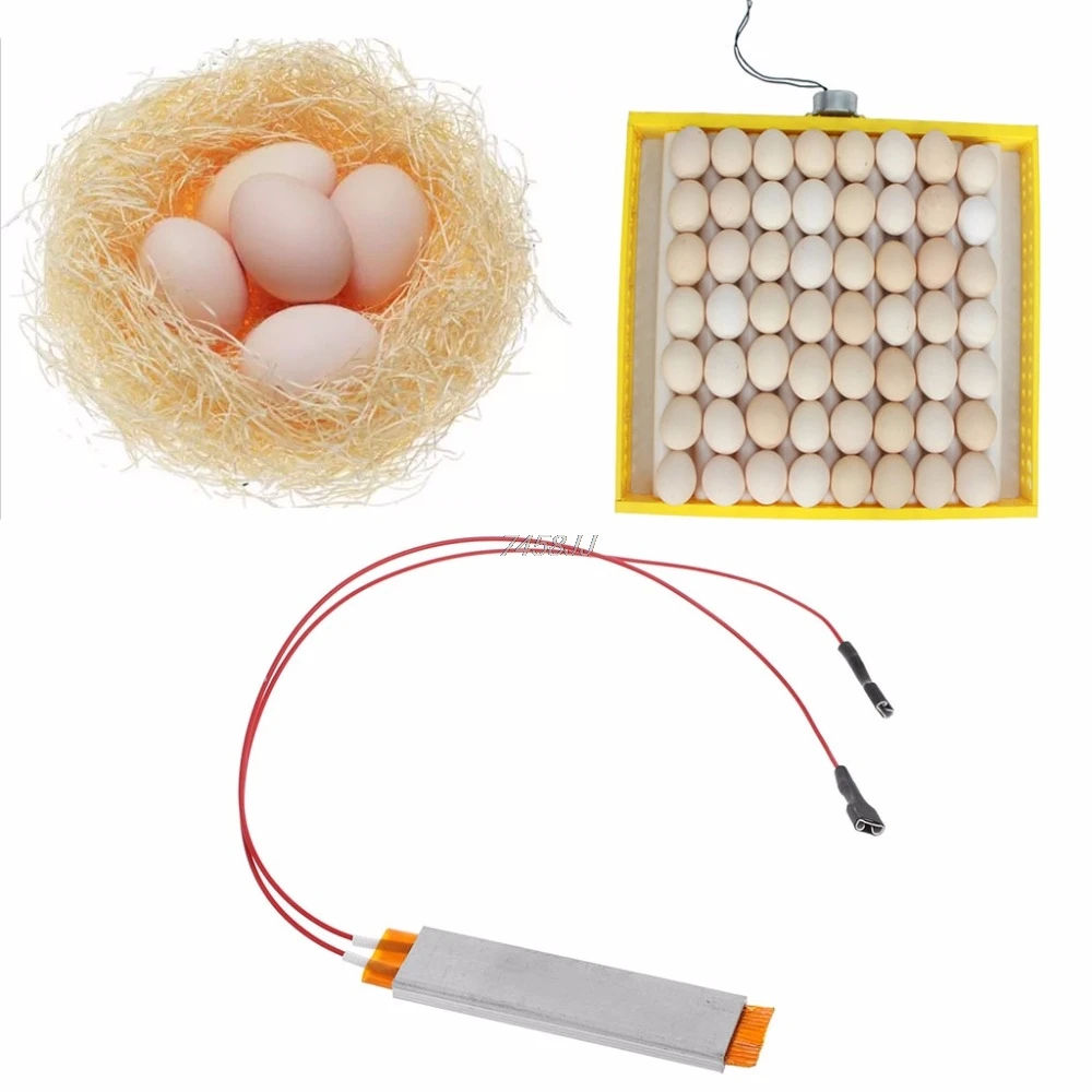 Farm Animals Heating Incubator Heater Element Plate For Egg Incubator brooder Accessories 110V/220V Heating plate Drop ship Farm Animals Heating Incubator Heater Element Plate For Egg Incubator brooder Accessories 110V/220V Heating plate Drop ship