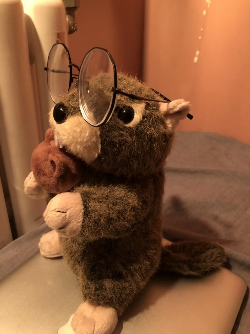 kawaii simulation animal groundhog plush doll mini soft quality groundhogs toy for baby gift 20cm DY50189 (1)
