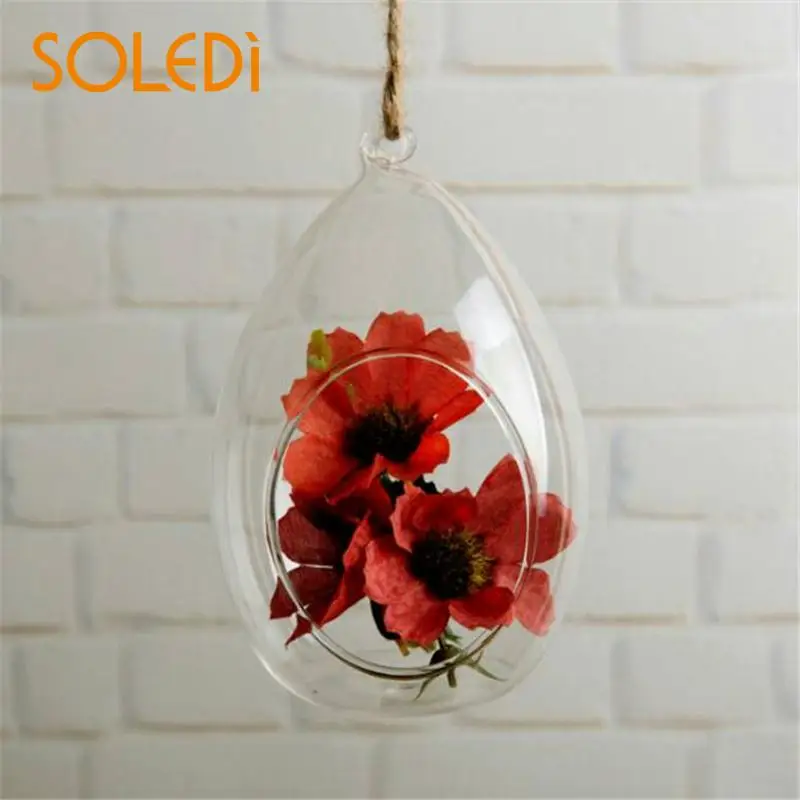 Buy Transparents Hanging Glass Vase Ellipse Hanging