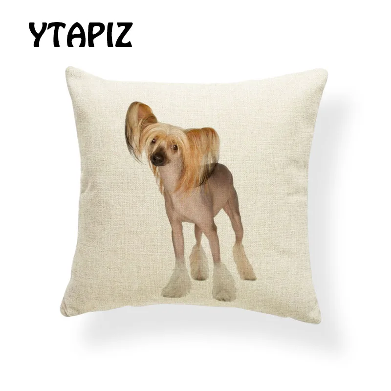 Роскошный питомец МАЛЬТИЙСКАЯ Собака Basset Beagle Schnauzer Shepherd золотистый ретривер