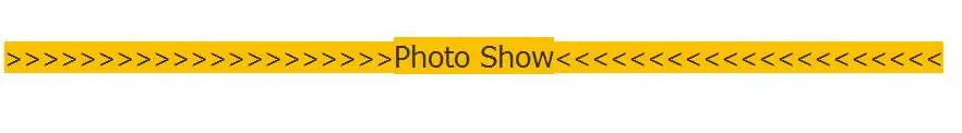 photo show1
