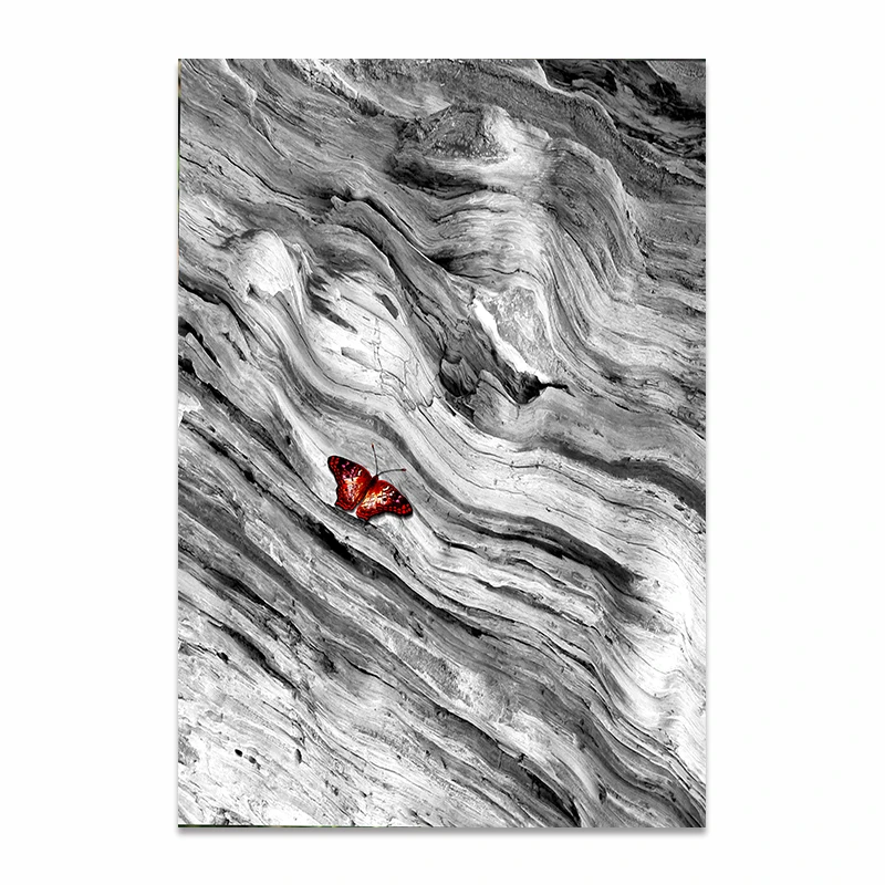 55