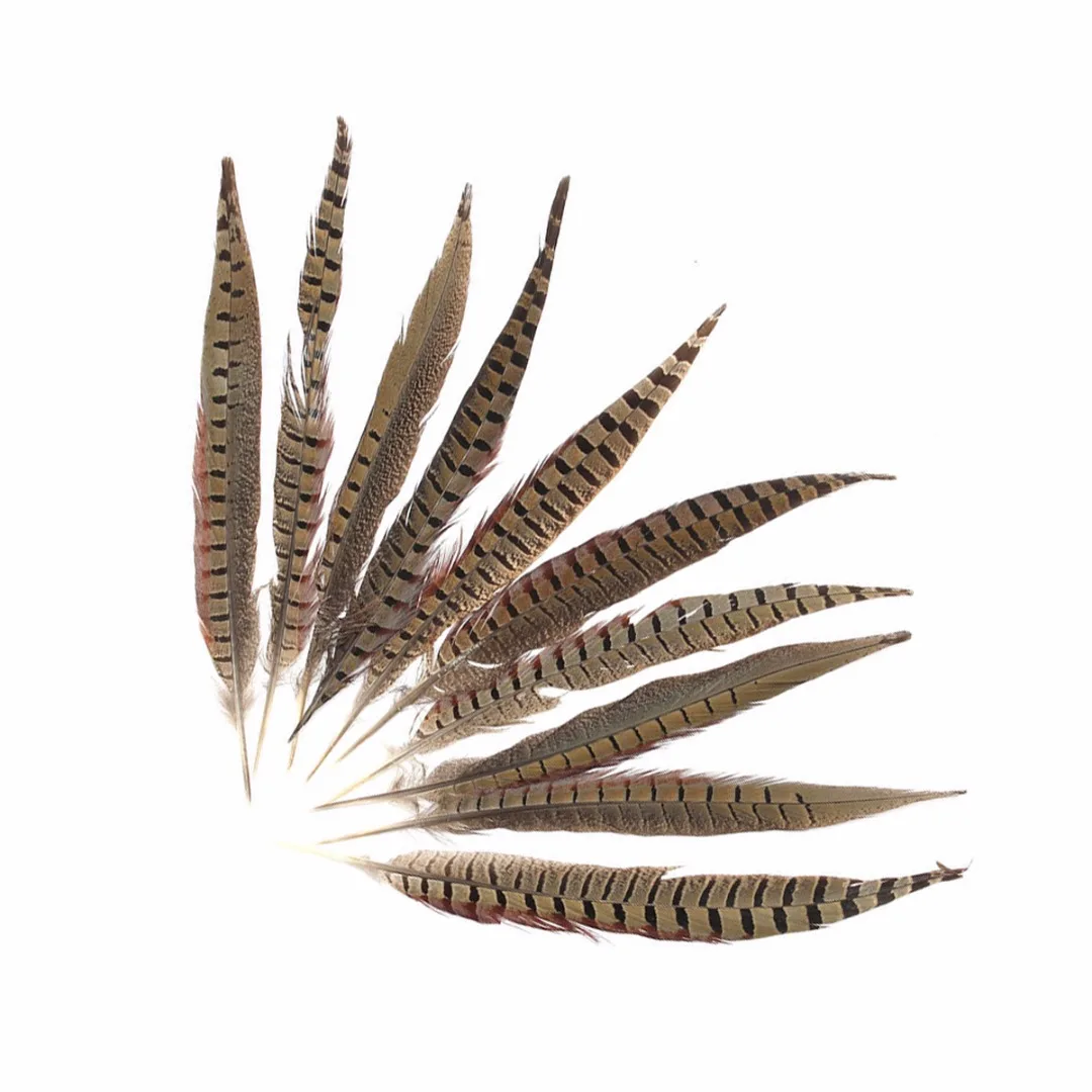Mayitr 10pcs/set Natural Pheasant Feathers 30-35cm 12 - 14 Inch Amherst Chicken Tail Feathers For Costume DIY New Arrival