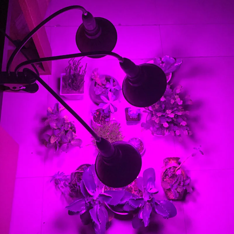 Cheap Luzes LED crescimento plantas