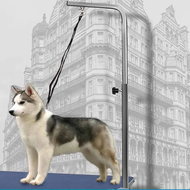 

Pet Grooming Shower Bath Leashes Gentle Fasten Dog Grooming Harness Leash Loop Accessories For Puppy