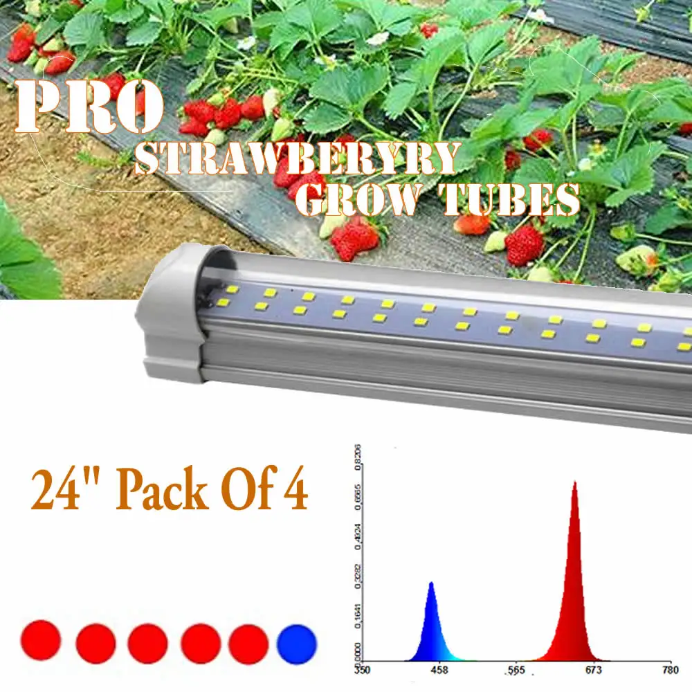 Растет свет T8 красный и синий расти трубы комплект Pro Крытый парниковых клубника рост бар RB соотношение 5:1 24 "набор из 4