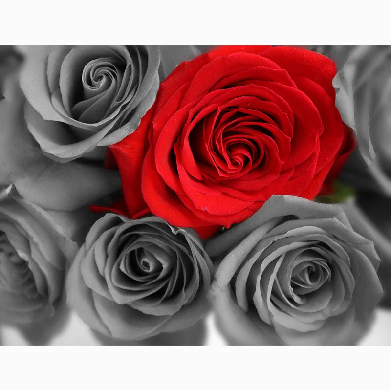 HTB1OgmFC7SWBuNjSszdq6zeSpXa1