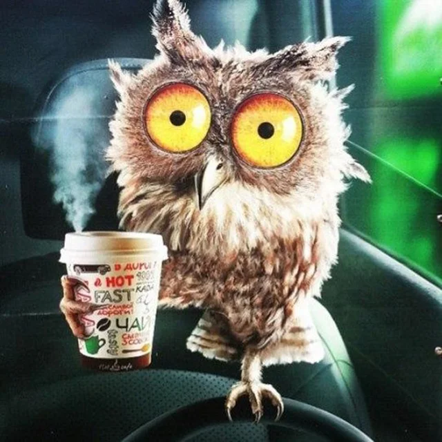 New 5d Diamond Painting Cross Sch Coffee Owl Embroidery New 5d Diamond Painting Cross Sch Coffee Owl Embroidery Full Drill Optional Ring Inlay