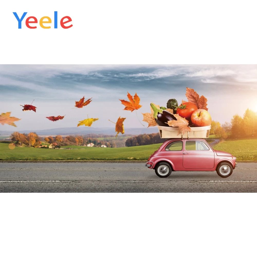 

Yeele Natural Car Fruits Leaves Blackboard Poster Kid Photography Background Banner Scene Photographic Backdrop For Photo Studio