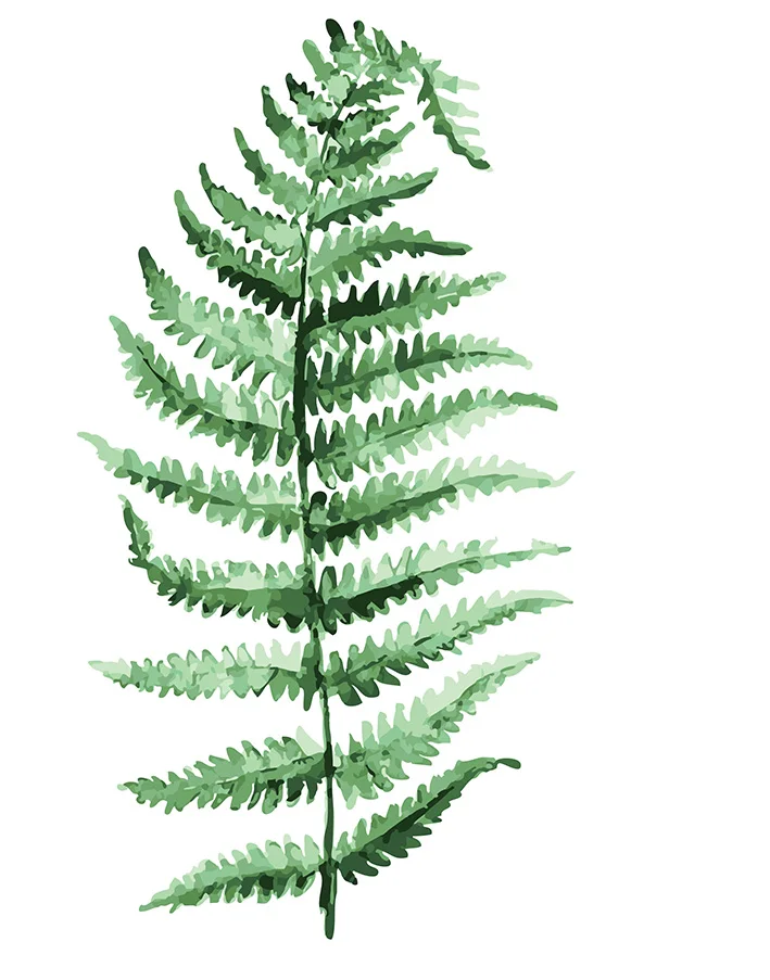 cioioil-C219 Nordic Green Plant - Fern Leaf Painting By Numbers Canvas Painitng Home Wall Art Picture Coloring By Numbers