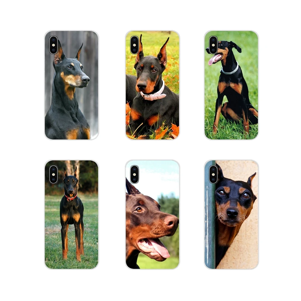 Аксессуары чехлы для телефонов Apple iPhone X XR XS MAX 4 4S 5 5S 5C SE 6 6S 7 8 Plus ipod touch Doberman Pinscher
