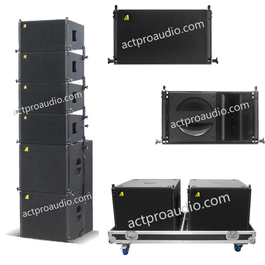 speaker array 10 inch