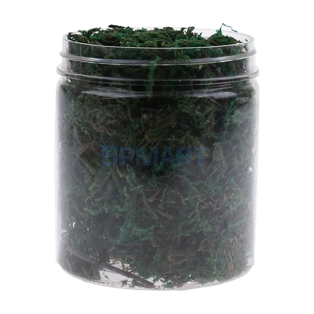 100ML/500ML Dry Grass Model Moss for Layout Terrain Vegetation Diorama Building Toy