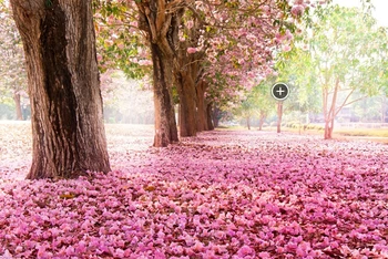 

LIFE MAGIC BOX Studio Backdrop Vinyl Background Studio Photo White Clouds MHSX-2023