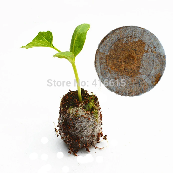 Compressed Starting Plugs Pellet Fiber Soil Helps to Avoid Root Shock for Planting Herb Flower Vegetables Legigo 50 Pcs 30mm Peat Pellets Starter Pods 