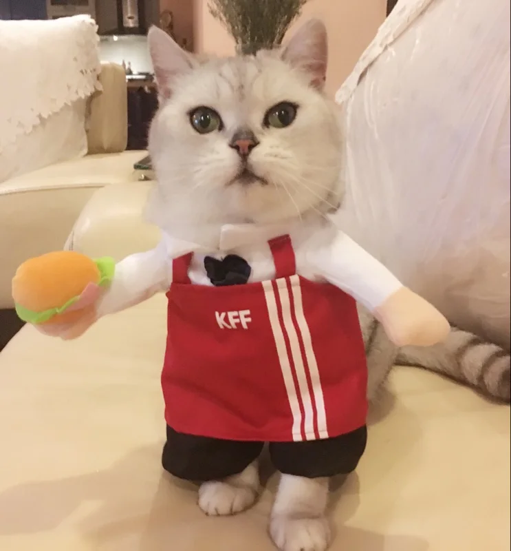 New 2016 whimsy!Free shipping so funny Pet cat clothes dog clothing