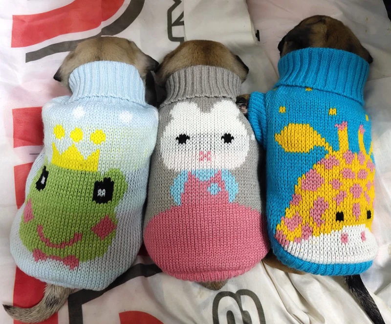 O1CN01GXclRz23ZEIr4_!!0-rate