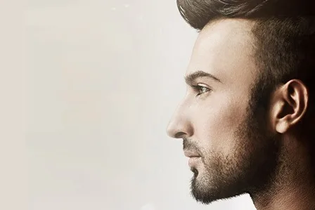 Tarkan tevetoglu auburn мужской портрет певицы бороды 4 размера Настенный декор холст