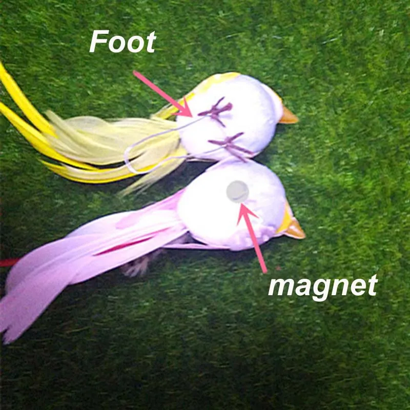 3264169201_1644397217