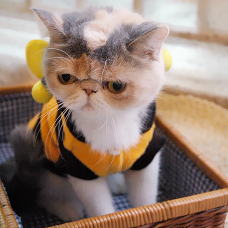

Bee Design Costume for Cats & Small Dogs, Pet Costume