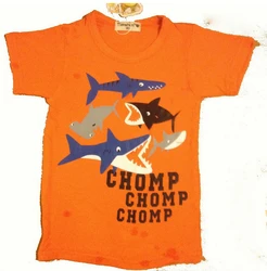 

KC 2016 summer style Children's short sleeve Cotton T shirt,100% cotton Flexible soft modal cool summer T-shirt TZ18F01