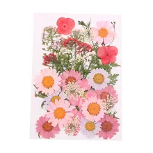 Прессованный цветок смешанные органические натуральные сушеные цветы DIY Искусство Цветочные Декорации коллекция подарок 669