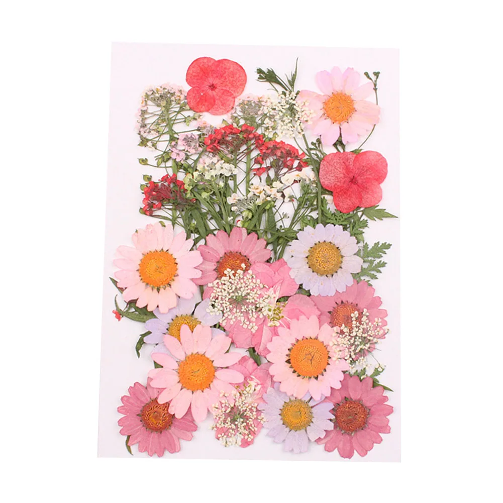 

Pressed Flower Mixed Organic Natural Dried Flowers DIY Art Floral Decors Collection Gift 669