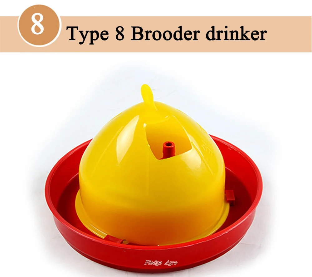 

1 pcs Automatic Chick Chicken Drinking Fountain Drinking Fountain Brooder Drinkers Poultry Quail Duck Pigeon Brooders Bird