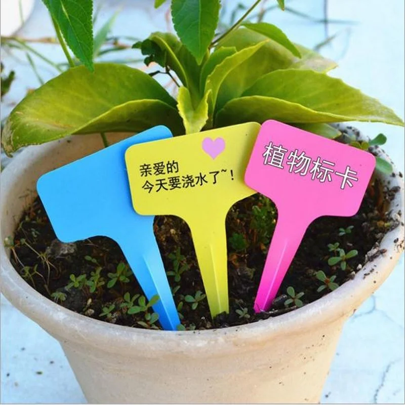 

Hot Sale 10 pcs Particular 6 x10cm Plastic Plant T-type Tags Markers Nursery Garden UR