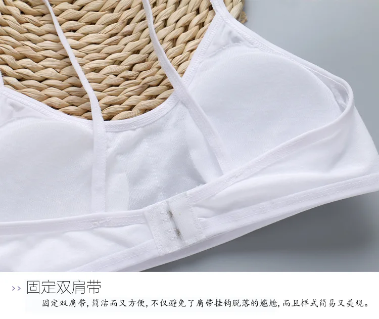 8824746744_1413011178