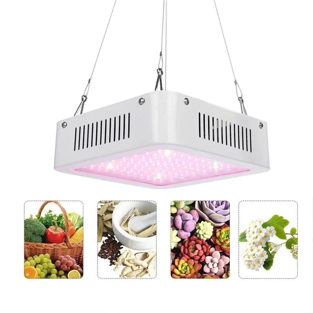 

100W LED Grow Light Full Spectrum Waterproof IP67 Red Green 8:1 for Indoor Square Plant Lamp AC100-240V US AU EU Plug