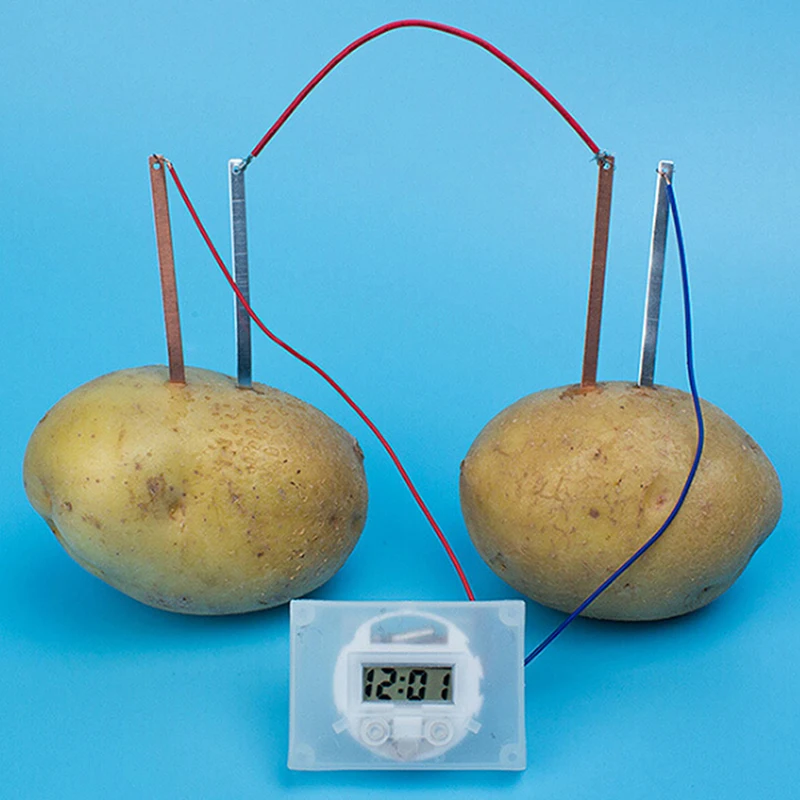 potato science kit