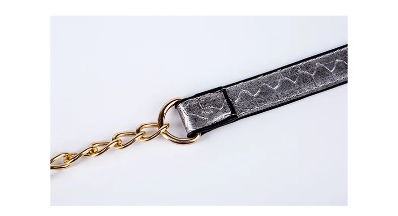 Women's Snake Skin Print Flap Messenger Bag Female Small Silver Leather Crossbody Chain Purse for women Luxury Designer Handbag (11)