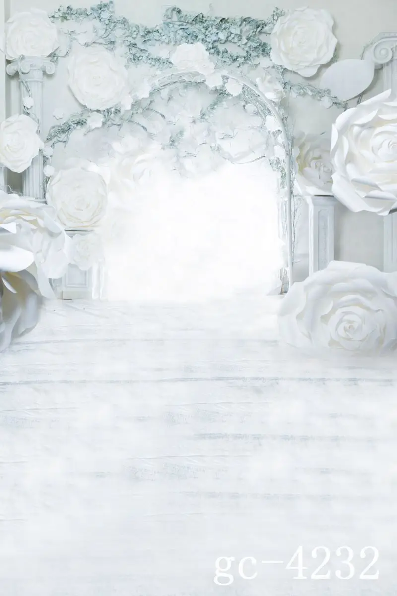 

3*5M Art Cloth Custom Photography Backdrops Prop Indoor theme Studio Background GC-4232