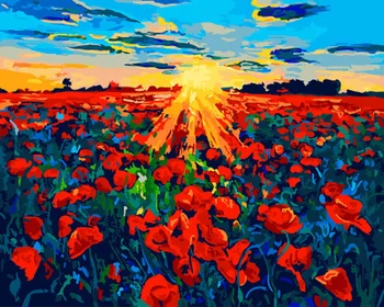 

Frameless oil painting by numbers paint by number for home decor oil picture painting 5065 poppy field