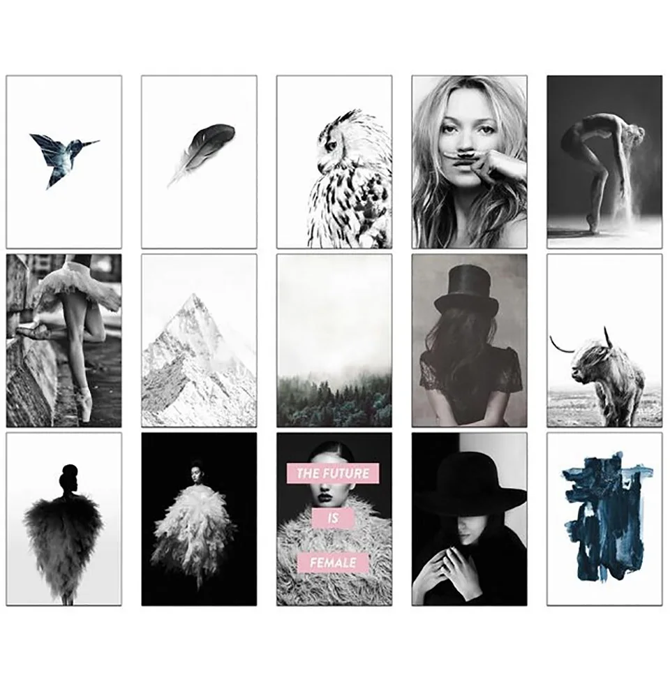 

Black White Natural Animal Poster Wall Art Mountain Scenery Canvas Painting Prints Figures Home Decoration Modular Pictures