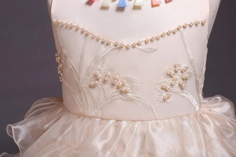 CAILENI Prom Dress For Kid Girls 2019 New Children Formal Party Ball Gown Frock Nobel Purple Girls Princess Dress For 2-8 Years CAILENI Prom Dress For Kid Girls 2019 New Children Formal Party Ball Gown Frock Nobel Purple Girls Princess Dress For 2-8 Years