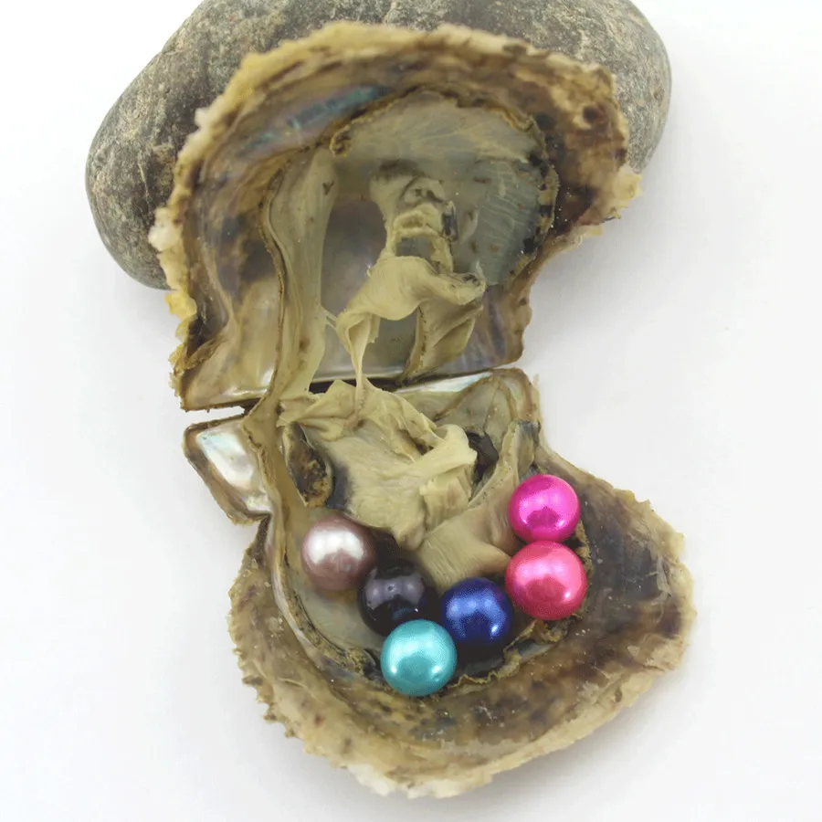 Akoya Oysters 5 шт./партия Эдисон большой круглый жемчуг натуральный жемчуг в соленой воде Устрица с вакуумной упаковкой DIY Ювелирные изделия P0018