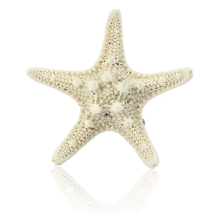 Europe Women Pretty Hair Clip Girls Natural Starfish Star Beige Hair Accessories