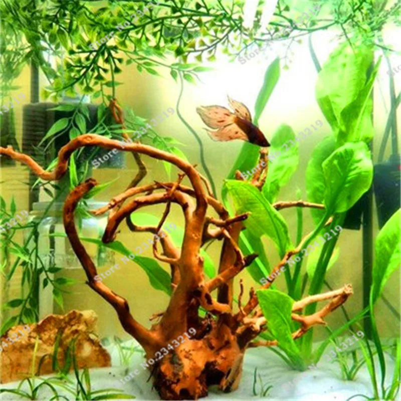 small fish tank reviews online shopping small fish tank small fish tank reviews online shopping small fish tank