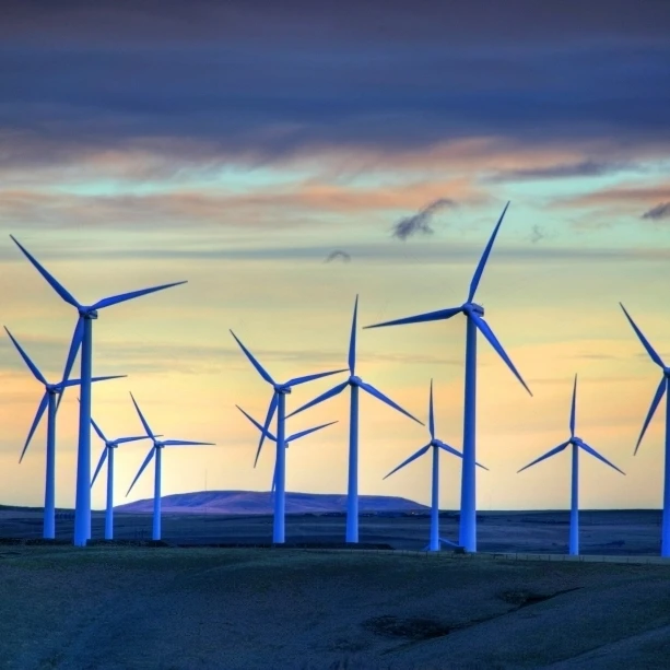 Windmill Farm Outside Of Pincher Creek  Alberta Poster Print (34 x 22)